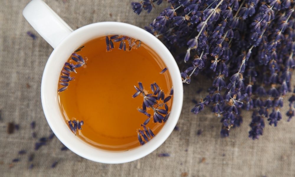 Chá de lavanda ou Alfazema - infusão de ervas